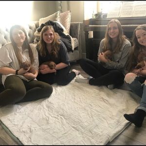 Meet your Posher, Hannah